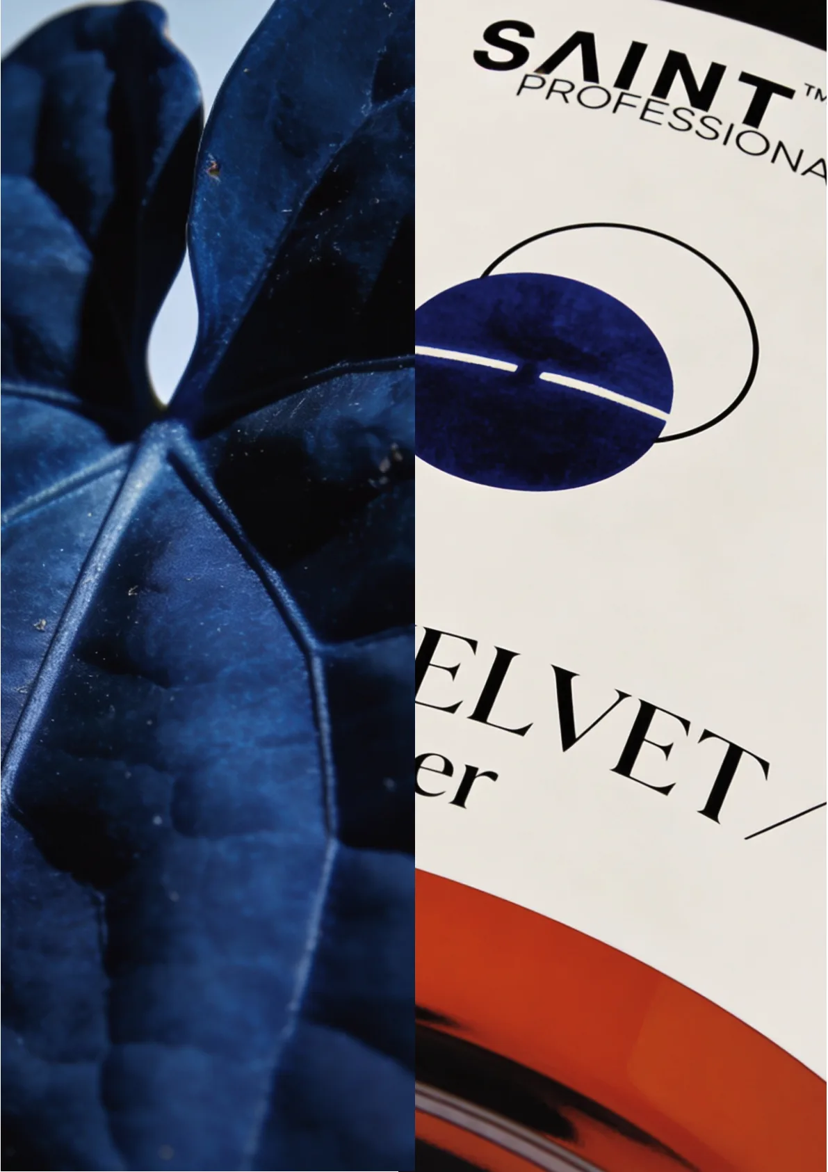 SAINT editorial product detail